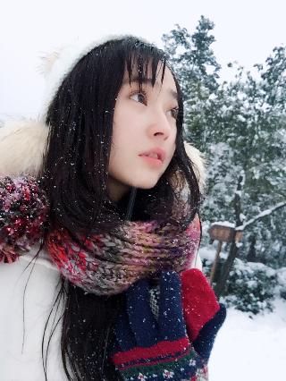 俄罗斯引擎YANDEX进入